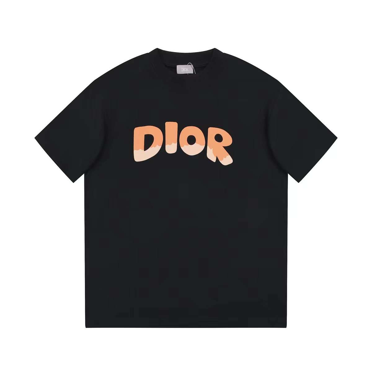 Cheap Hypeunique Dior Logo Casual T-shirt for Unisex Black and White ...
